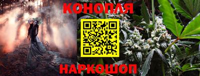 СК Кунгур