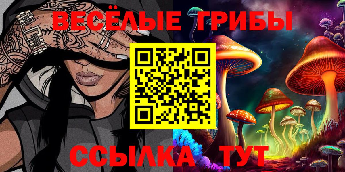 Галлюциногенные грибы GOLDEN TEACHER  Псилоцибиновые грибы прущие грибы  Костомукша  Вход с VPN 